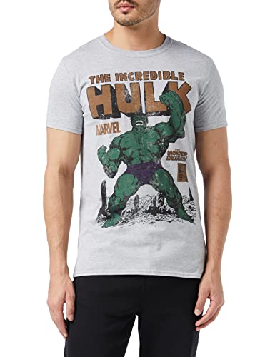 Marvel Hulk Rage Camiseta, Gris (Grey Marl SPO), Small (Talla del Fabricante: Small) para Hombre